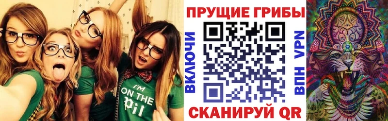 купить закладку  маркетплейс какой сайт  MEGA tor  Галлюциногенные грибы прущие грибы  Белозерск 